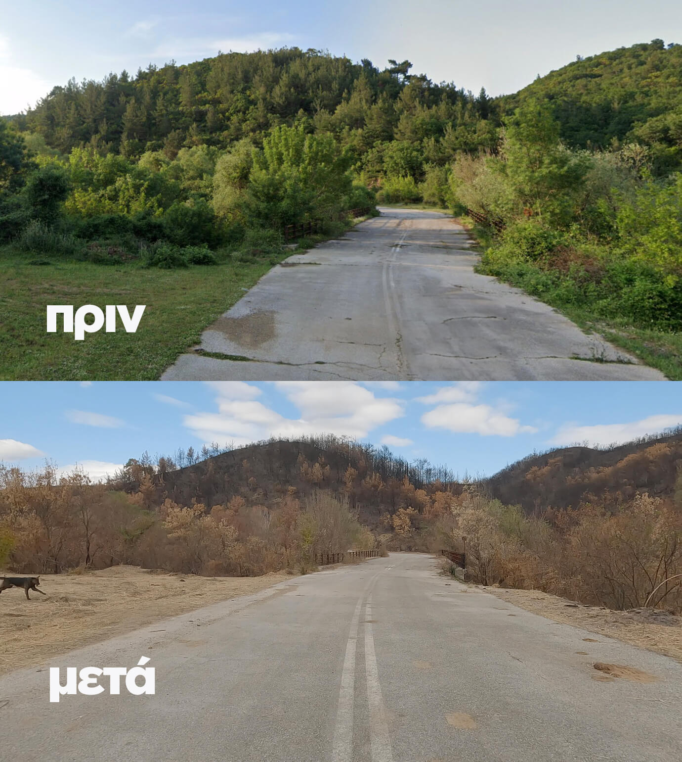 Evros Before After 06